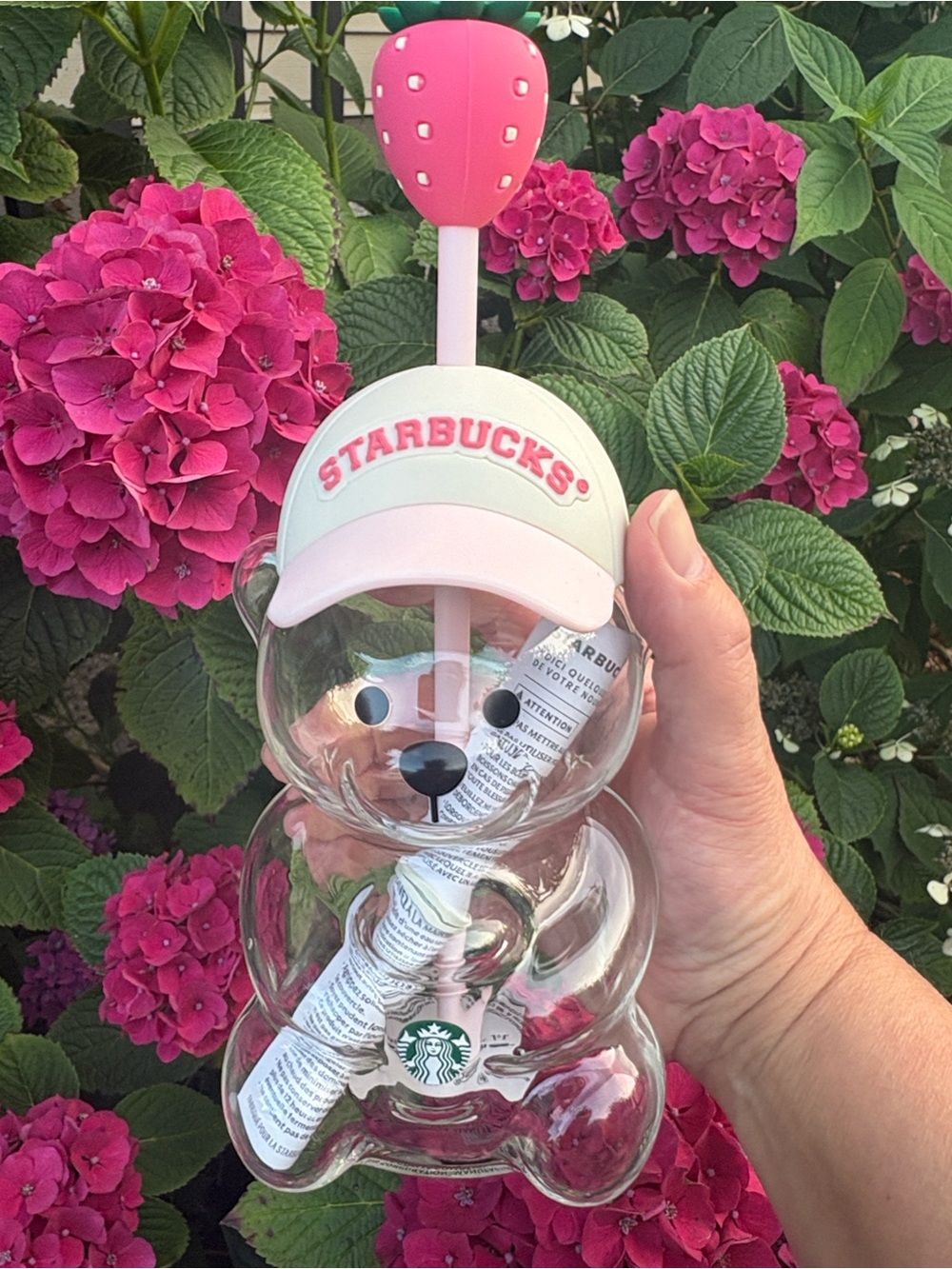 Starbucks Strawberry Bear Cup - Pink & Clear new in box - Picture 4 of 4